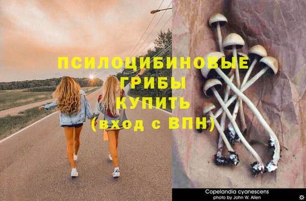 MESCALINE Армянск