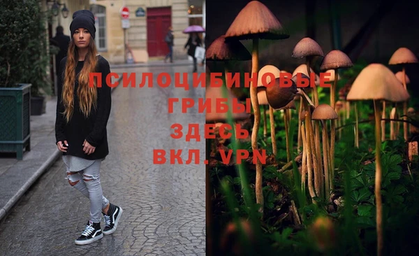 MESCALINE Армянск
