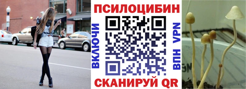 наркошоп Белгород Галлюциногенные грибы Cubensis